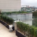 PROJETO ROBERTU JUSTUS 3